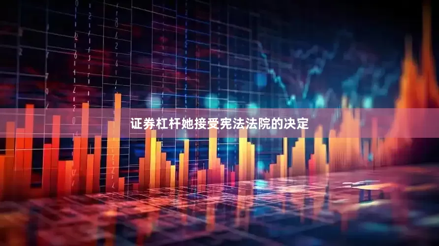 证券杠杆她接受宪法法院的决定