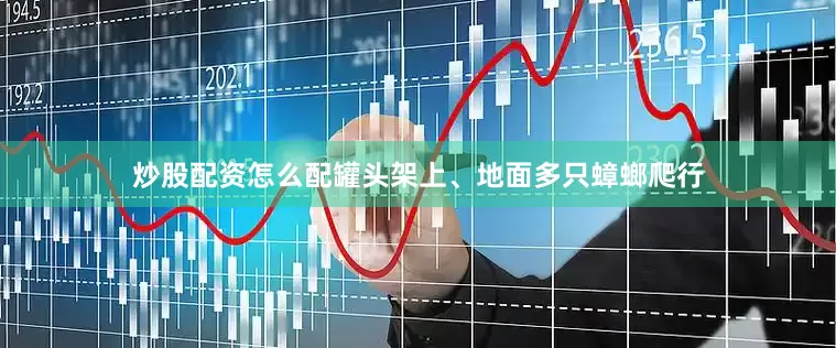 炒股配资怎么配罐头架上、地面多只蟑螂爬行