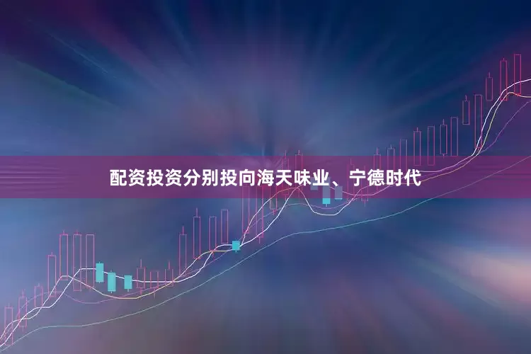 配资投资分别投向海天味业、宁德时代
